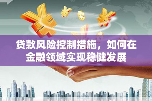 芬园贷款风险控制措施，如何在金融领域实现稳健发展