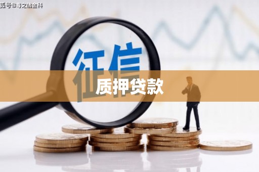 芬园质押贷款