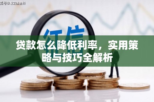芬园贷款怎么降低利率，实用策略与技巧全解析