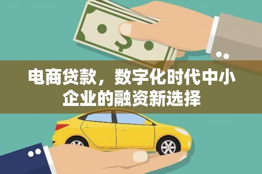 芬园电商贷款，数字化时代中小企业的融资新选择