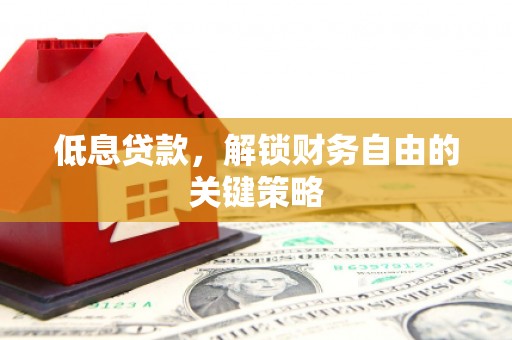 芬园低息贷款，解锁财务自由的关键策略