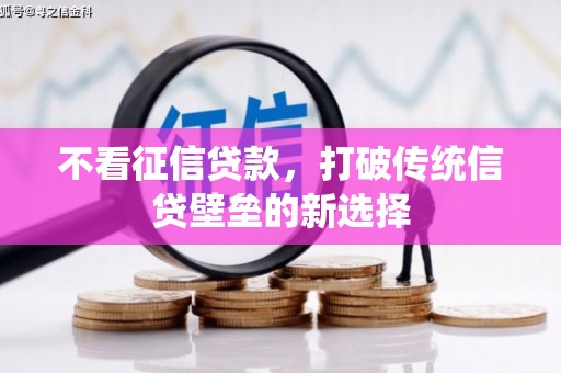 芬园不看征信贷款，打破传统信贷壁垒的新选择