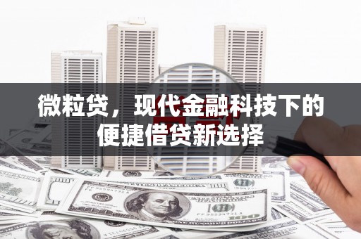 芬园微粒贷，现代金融科技下的便捷借贷新选择