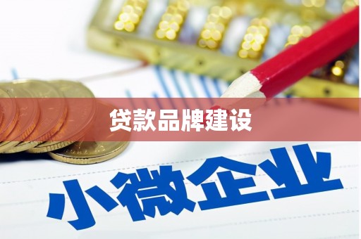 芬园贷款品牌建设