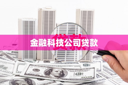芬园金融科技公司贷款