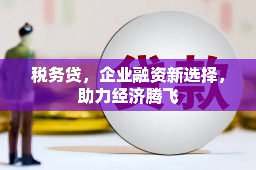 芬园税务贷，企业融资新选择，助力经济腾飞