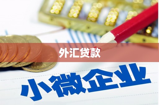 芬园外汇贷款