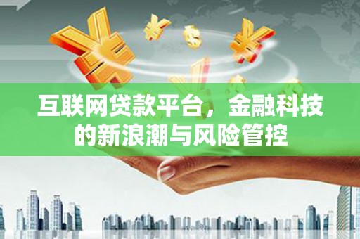 芬园互联网贷款平台，金融科技的新浪潮与风险管控