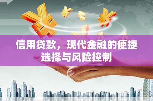芬园信用贷款，现代金融的便捷选择与风险控制
