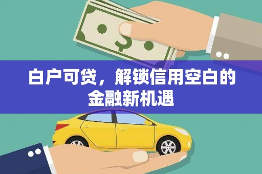 芬园白户可贷，解锁信用空白的金融新机遇