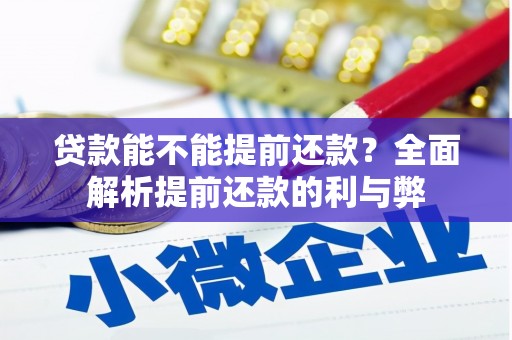 芬园贷款能不能提前还款？全面解析提前还款的利与弊