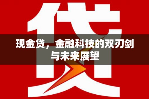 芬园现金贷，金融科技的双刃剑与未来展望