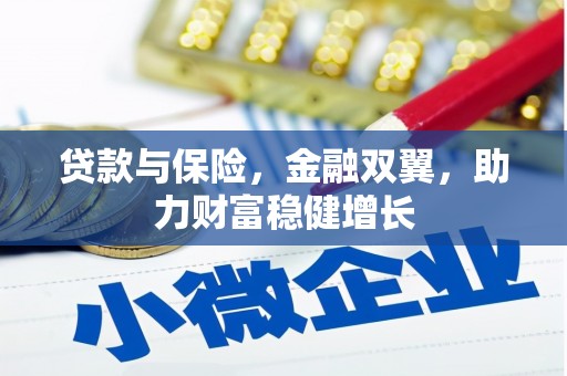 芬园贷款与保险，金融双翼，助力财富稳健增长