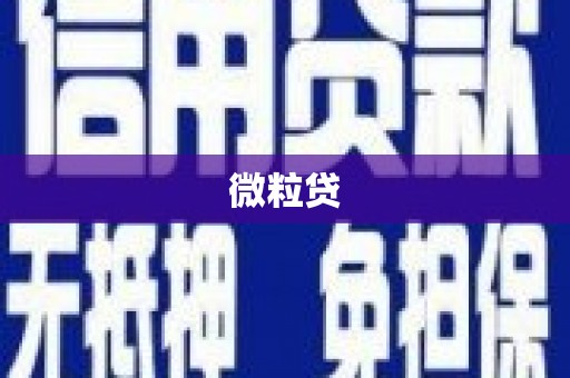 芬园微粒贷