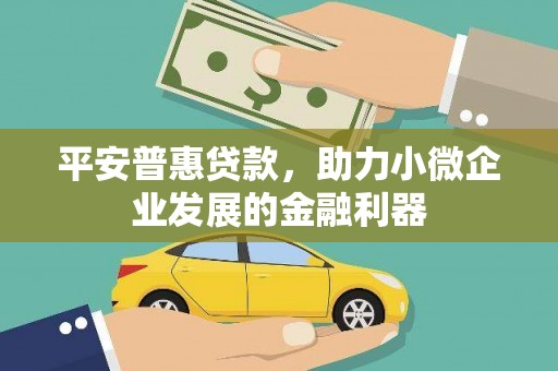 芬园平安普惠贷款，助力小微企业发展的金融利器