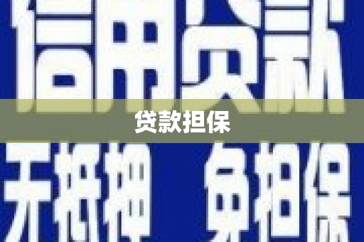 芬园贷款担保