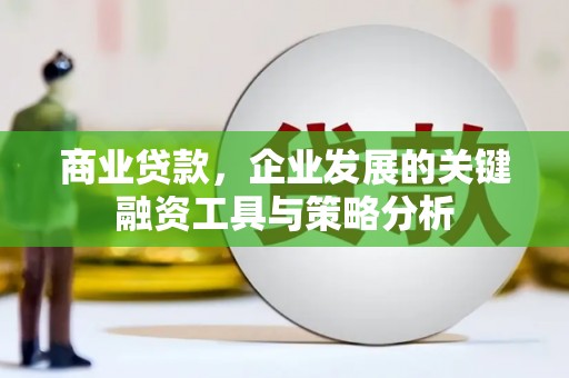 芬园商业贷款，企业发展的关键融资工具与策略分析