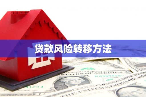 芬园贷款风险转移方法