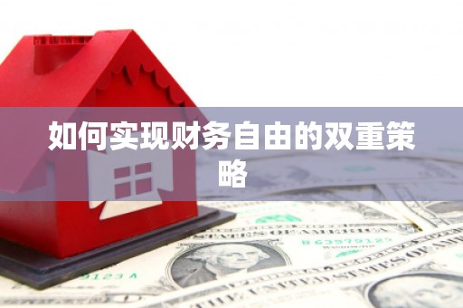 芬园如何实现财务自由的双重策略