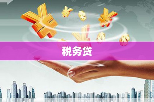 芬园税务贷