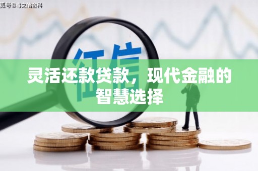 芬园灵活还款贷款，现代金融的智慧选择
