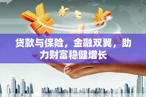 芬园贷款与保险，金融双翼，助力财富稳健增长