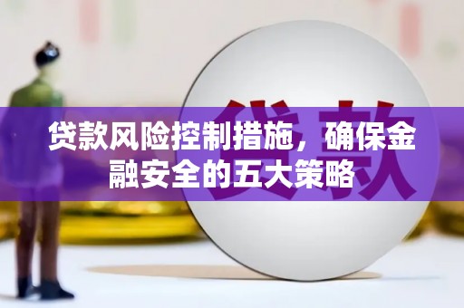 芬园贷款风险控制措施，确保金融安全的五大策略
