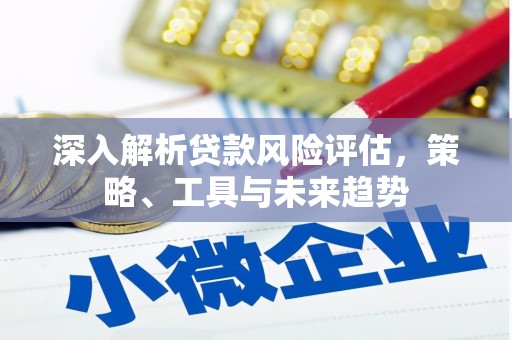 芬园深入解析贷款风险评估，策略、工具与未来趋势