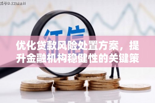 芬园优化贷款风险处置方案，提升金融机构稳健性的关键策略