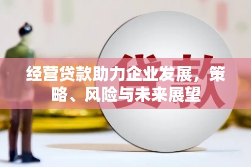芬园经营贷款助力企业发展，策略、风险与未来展望