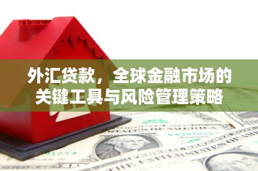 芬园外汇贷款，全球金融市场的关键工具与风险管理策略