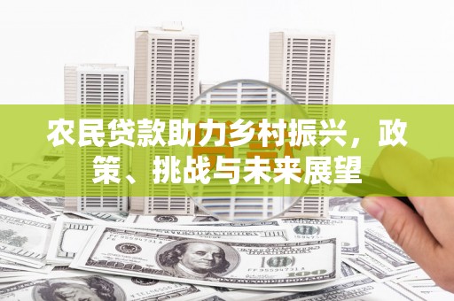 芬园农民贷款助力乡村振兴，政策、挑战与未来展望