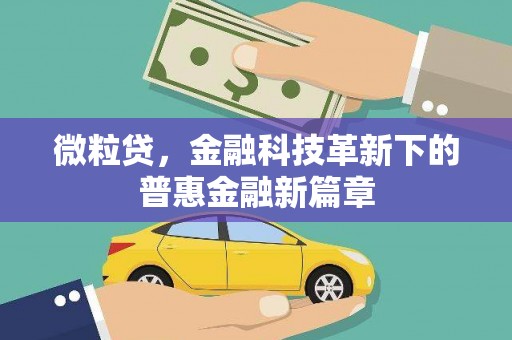 芬园微粒贷，金融科技革新下的普惠金融新篇章