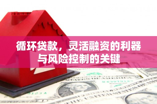 芬园循环贷款，灵活融资的利器与风险控制的关键