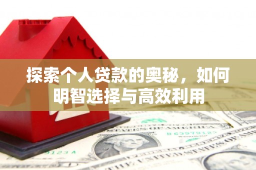 芬园探索个人贷款的奥秘，如何明智选择与高效利用