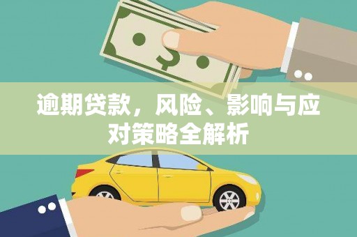 芬园逾期贷款，风险、影响与应对策略全解析