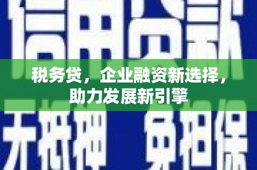 芬园税务贷，企业融资新选择，助力发展新引擎