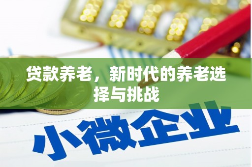芬园贷款养老，新时代的养老选择与挑战