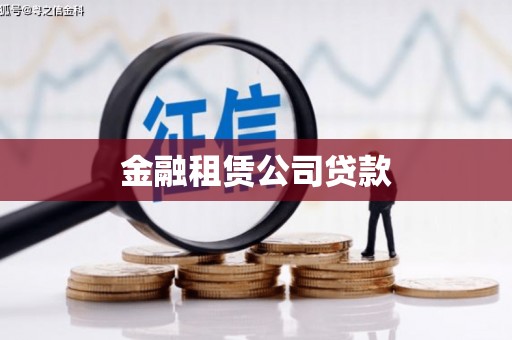 芬园金融租赁公司贷款