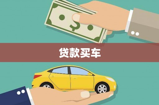 芬园贷款买车
