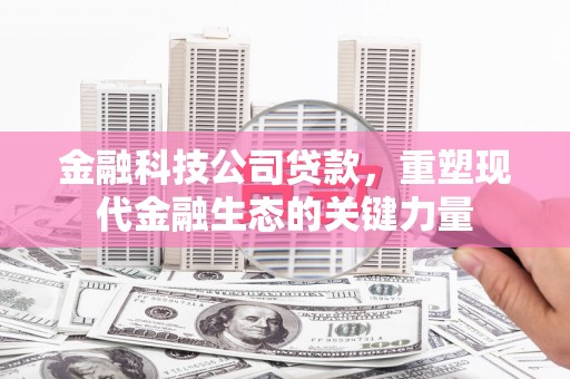 芬园金融科技公司贷款，重塑现代金融生态的关键力量