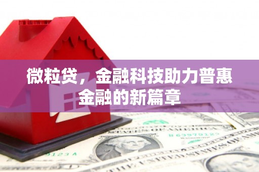 芬园微粒贷，金融科技助力普惠金融的新篇章