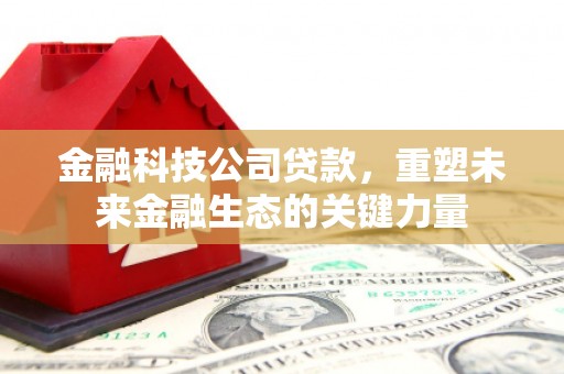 芬园金融科技公司贷款，重塑未来金融生态的关键力量
