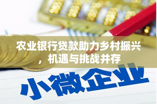 芬园农业银行贷款助力乡村振兴，机遇与挑战并存