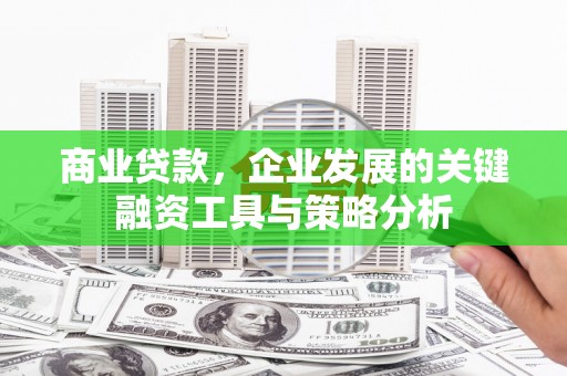 芬园商业贷款，企业发展的关键融资工具与策略分析