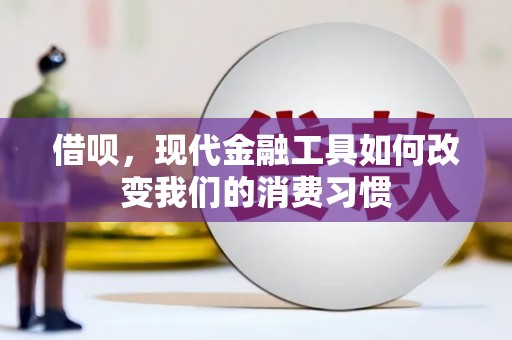 芬园借呗，现代金融工具如何改变我们的消费习惯
