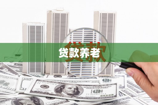 芬园贷款养老