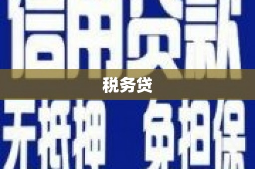芬园税务贷