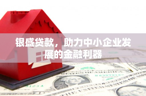 芬园银盛贷款，助力中小企业发展的金融利器