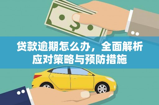 芬园贷款逾期怎么办，全面解析应对策略与预防措施